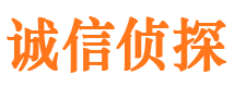 临川诚信私家侦探公司